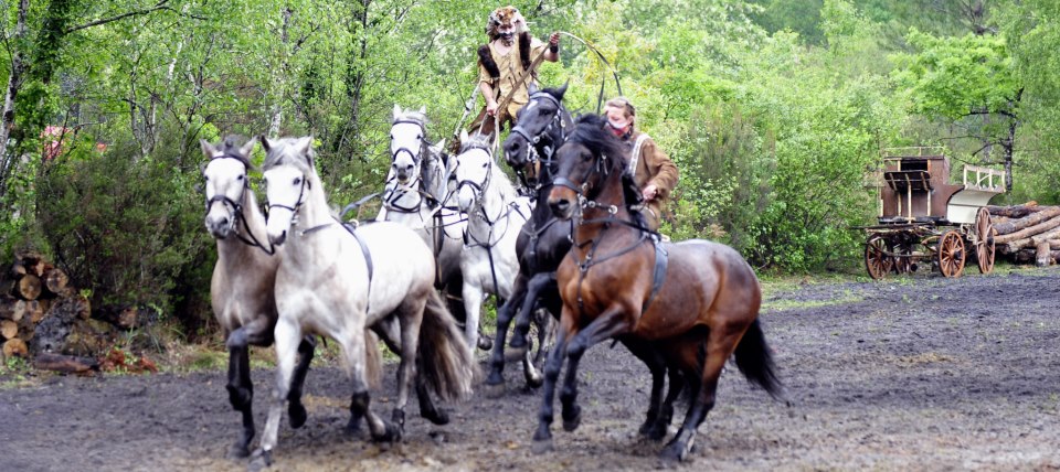 photo by Francis (193)