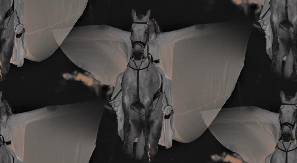 photo by Francis (225)