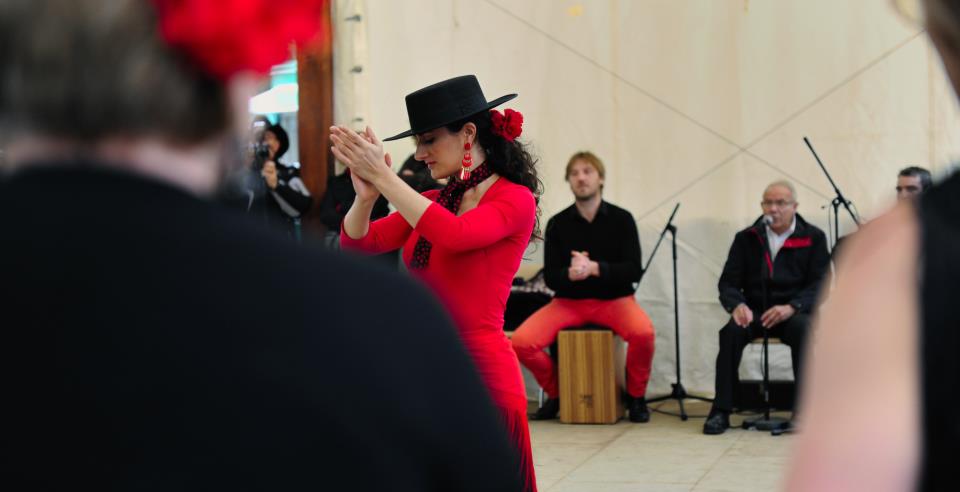 photo by Francis (34)