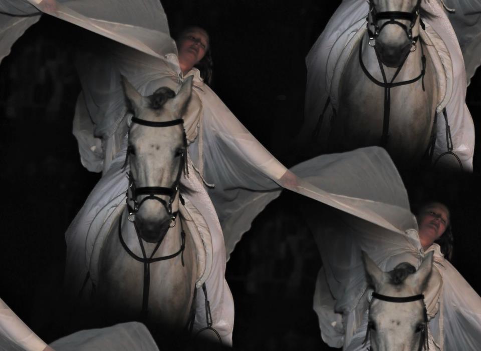 photo by Francis (35)