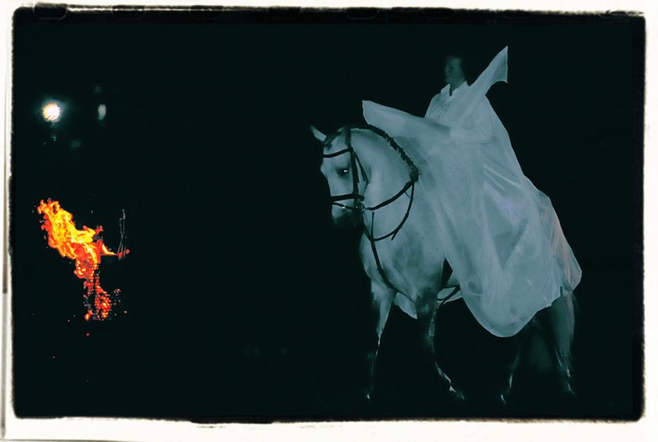 photo by Francis (40)