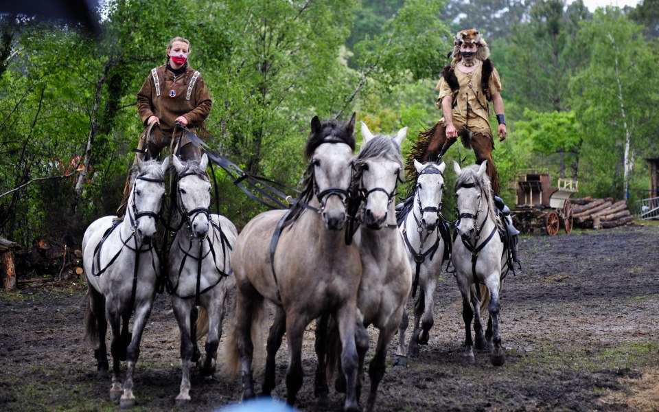 photo by Francis (41)