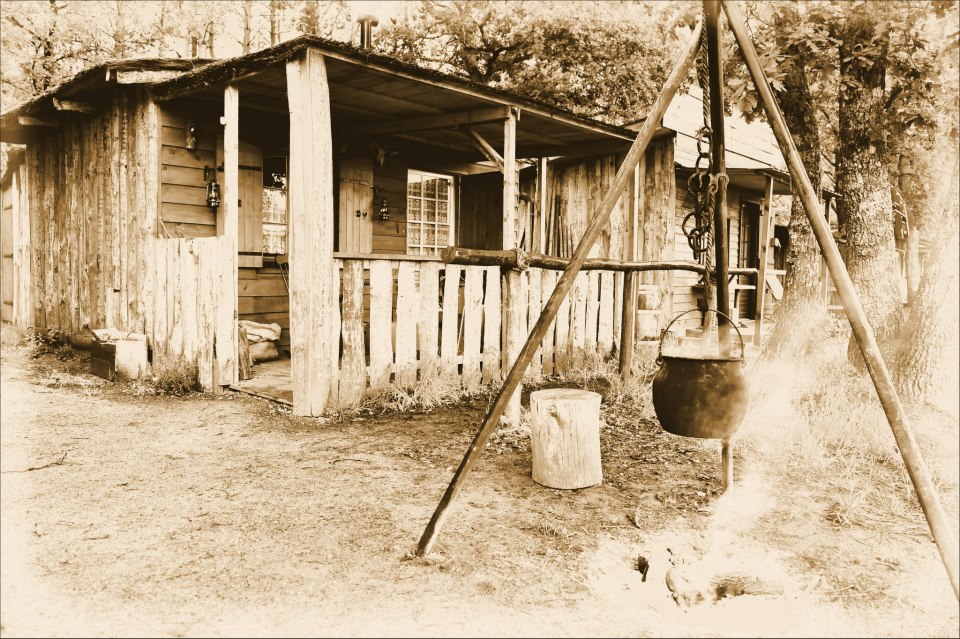 photo by Francis (55)