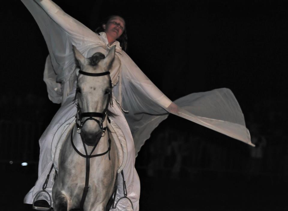 photo by Francis (76)