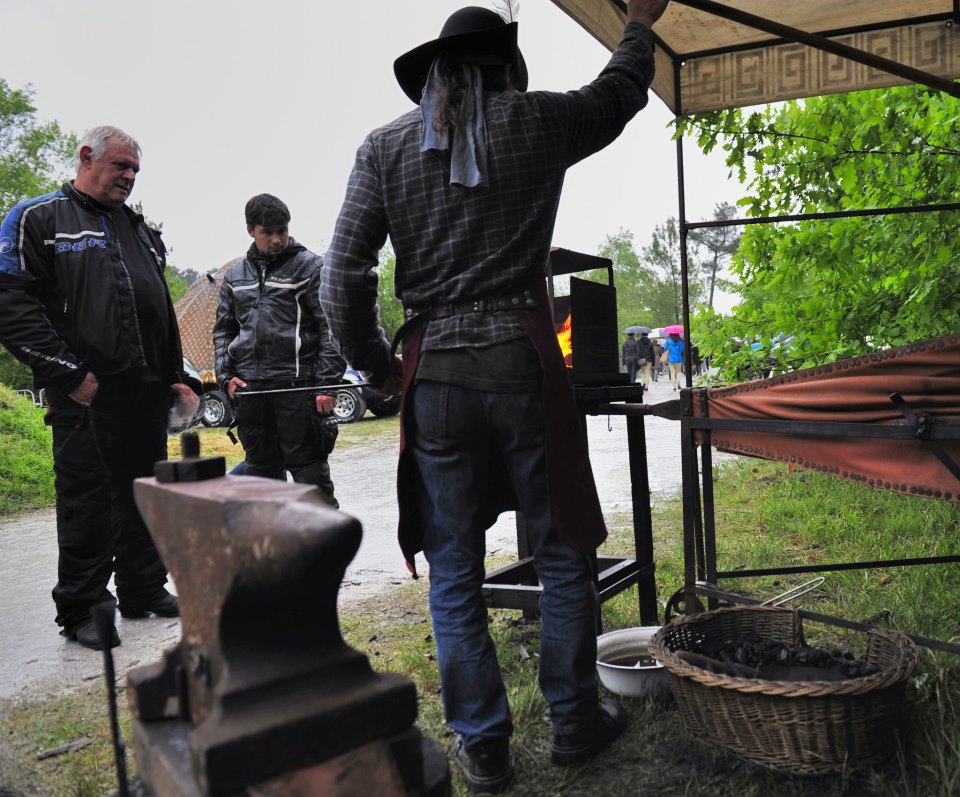 photo by Francis (95)