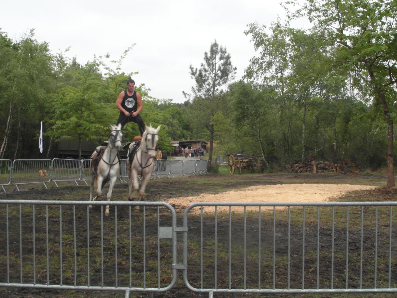Festival fort rainbow 2012 (by Kara)